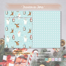 Load image into Gallery viewer, Frozen In Time